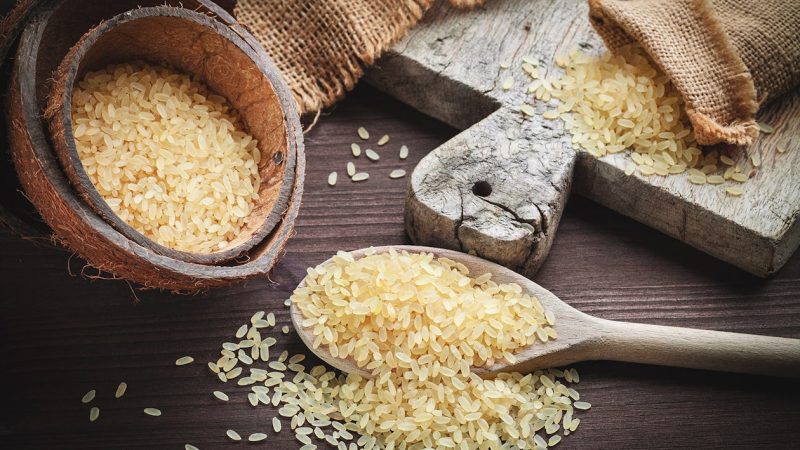 Rice Protein โปรตีนข้าว