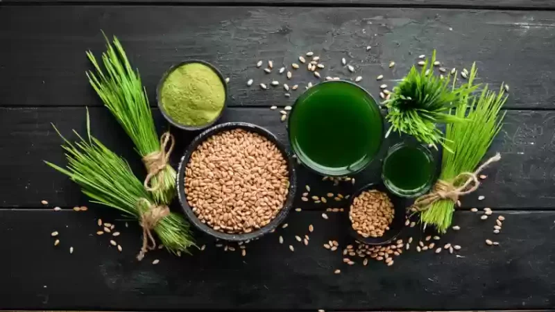 Wheatgrass หรือสารสกัดต้นกล้าอ่อนข้าวสาลี
