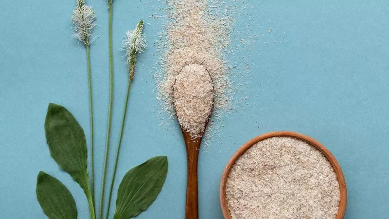 ผงไซเลียมฮัสก์ (Psyllium Husk Powder)