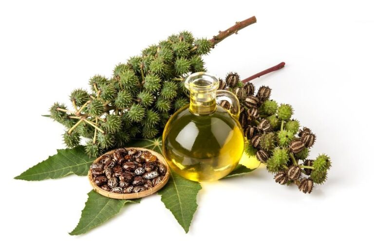 Hydrogenated Castor Oil