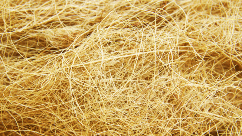 ออยปาล์มไฟเบอร์ (Oil Palm Fiber) ออยปาล์มไฟเบอร์ (Oil Palm Fiber) - ไฟเบอร์ ท้องผูก Phytofiber ไฟโตไฟเบอร์ วิเทค vitech นวัตกรรมสุขภาพดีอย่างยั่งยืน